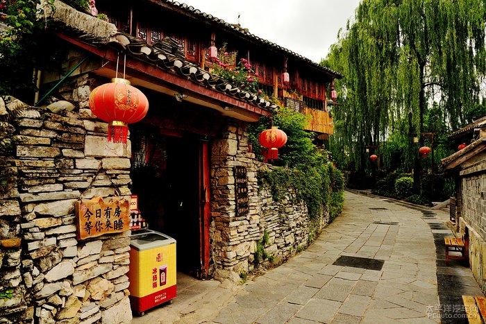 山东中药材GAP专业委员会成立